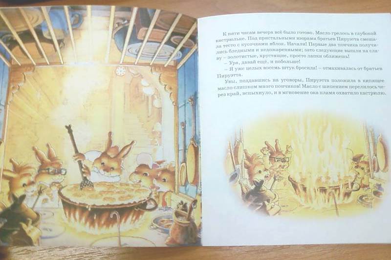 Книга Юрье Ж. «Сгоревшие пончики» из серии Жили-были кролики  